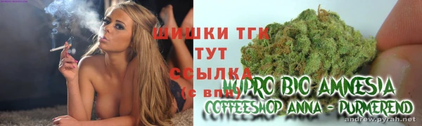 крисы Вяземский