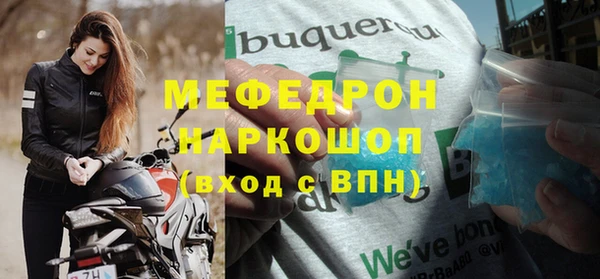 сатива Бородино