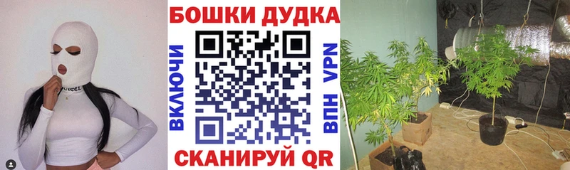 Бошки Шишки тримм  Жиздра 